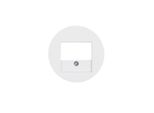 Berker Piastra Centrale Tae R.1/R.3/R.Classic Polws
