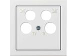 Gira Inserto Centrale Rws-Gl 0259112