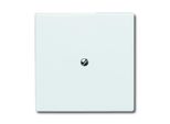 Busch-Jaeger Allw. C-SCH.+TRAGR.CIECO (2138-32)