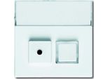 BUSCH-JAEGER Piastra Centrale Lichtsig 2F Infoline Std-Ws Glz