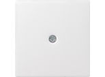 Gira Piastra Centrale Cavo Uscita Rws System55 027427