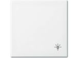 Busch-Jaeger Wippe Light (2520 LI-914)