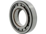 Cuscinetto A Rulli Cilindrici NUP210 Ecj Id 50Mm Od 90Mm Larghezza20Mm Skf