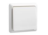 Elso 502114 Pulsante 10A Illuminato Completo, Morsetto A Innesto Per Ristrutturazione, Bianco Perla