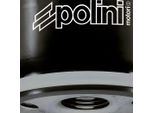 Filtro Olio Polini Compatibile Con Aprilia, Gilera, Malaguti, Peugeot, Piaggio
