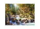 Castorland Puzzle Fiume Nella Foresta 2000 Pezzi