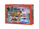 Castorland Puzzle Wolfsland 500 Pezzi