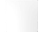 Merten MEG4075-6035 Copertura Per Tende, Bianco Loto, System Design