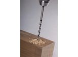 Alpen Coclea Forma Lewis Lunghezza 235 Ø 10,0 Mm Nl 160 Mm 21601000100