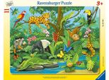 Animali Nella Foresta Pluviale Ravensburger 05140