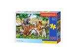 Castorland Puzzle Nella Fattoria 100 Pezzi