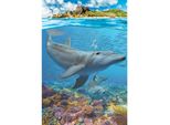 Eurographics Puzzle Salva Il Nostro Pianeta: Delfini Xl 250 Pezzi