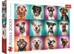Trefl 27119 Puzzle Puzzle Da 2000 Pezzi Animali