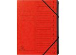 Exacompta 541205E Cartella Organizer - 12 Scomparti, A4, In Truciolato Colorato, Rosso