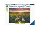 Denti Di Leone Al Tramonto Ravensburger 16990