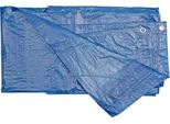 Foglio Di Copertura Vorel Blu 10 X 15 M, 75 G/M2 TO-85120