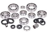 Set Di Cuscinetti Motore Incl. Guarnizioni Albero Per Rotax Tipo 122 1998- 2T Lc