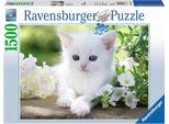 Ravensburger - Gattino Bianco, Puzzle Da 1500 Pezzi (16243 7) Ravensburger