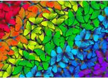 Enjoy Farfalle Arcobaleno Puzzle 1000 Pezzi