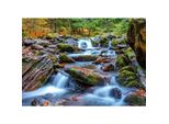 Enjoy Puzzle Fiume Della Foresta In Autunno 1000 Pezzi