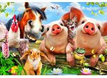 Puzzle Bluebird - Fattoria Degli Animali - Giocattolo Colorato Da 300 Pezzi