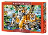 Castorland Puzzle Tigri Del Fiume 1000 Pezzi