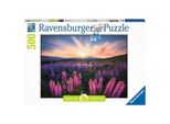 Ravensburger Buchverlag Lupini