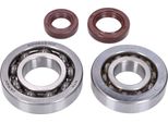 Kit Cuscinetti Hd E Paraoli Fkm Albero Motore Naraku Naraku Per Kymco/Sym Orizzontale