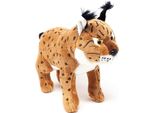 Cornelissen - Peluche - Lince - 30 Cm