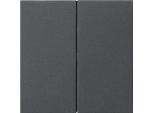 Gira S3000 Pannello Di Controllo 2F Sistema 55 Antracite