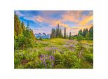Castorland Puzzle 2000 Elementi Mattina In Fiore - Paesaggio 92X68Cm