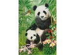 Castorland Panda Brunch Puzzle 1000 Pezzi