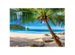 Castorland Puzzle Vacanze Alle Seychelles 500 Pezzi