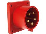 As Schwabe 60443 Spina Aggiuntiva Cee 16 A 400 V 1 Pz