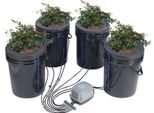 Vevor Dwc Hydroponics Grow System, Sistema Di Coltivazione Idroponica Con Kit Top-Drip, Deep Water Culture 5-Gallon 4-Bucket, Con Pompa D'aria, Pietre D'aria E Indicatore Del Livello Dell'acqua Per Ortaggi A Foglia