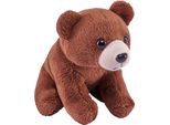 Wild Republic - Peluche - Pocketkins Eco - Orso Marrone