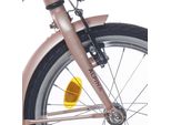 Alpina Fork 16 Ocean Rosa Nebbioso Opaco