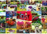 Grafika Puzzle Collage Biciclette 500 Pezzi Multicolore