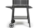 Barbecue A Carbonella 48,5 X 28,8 Cm Livoo Doc328
