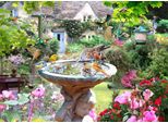 House Of Puzzles Puzzle Summer Birds - Puzzle Da 1000 Pezzi Per Adulti