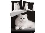 Set Di Biancheria Da Letto In Cotone Gatto Persiano Bianco 160X200 Holland Natura