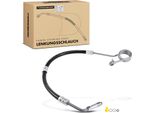 Frankberg 1X Tubo Servosterzo Per Fiat Multipla 186 Mpv 1.9L 2001-2010
