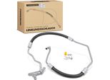 Frankberg 1X Tubo Servosterzo Per Renault Megane I A0/1 ScéNic I FA0 1.4L 1.6L