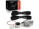 Frankberg 1X Cinghia Di Distribuzione Set Cinghia Di Distribuzione Pompa Dell'acqua Per Land Rover Freelander Rover 400 Mg Mgf