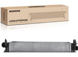 Frankberg 1X Intercooler Turbo Cooler Per CitroëN Jumper Fiat Ducato Peugeot Boxer A Partire Dall'anno 2009