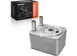 Frankberg 1X Radiatore Olio Motore Per Vw Golf Iv V Vi Passat Bora Audi A2 A3 A4 A5 A6 A8 Q5 Q7 Tt