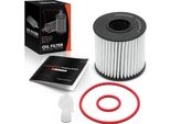 Frankberg 1X Elemento Filtrante Dell'olio Per Lexus Gs S19 Toyota Avensis Rav 4 Iv ZSA4 2005-2019