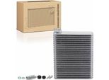 Frankberg 1X Evaporatore Condizionatore Per Bmw Serie 5 Touring E39 X5 E53 1996-2006