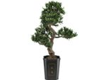 Europalms Bonsai Podocarpus, Pianta Artificiale, 80Cm