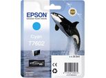 Epson T7602 - 26 Ml - Ciano - Originale - Blister - Cartuccia D'inchiostro
